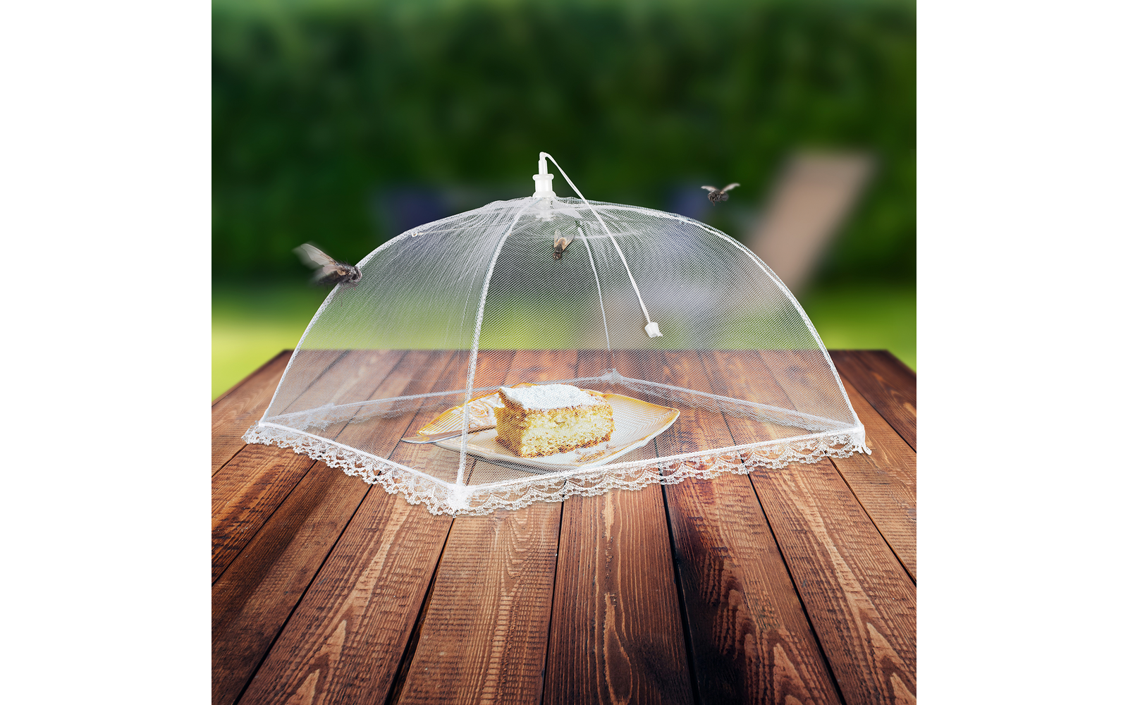 Ein Käse unter einer transparenten Abdeckhaube auf einem Holztisch im Freien