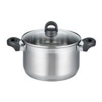 Marmite &agrave; viande 24 cm argent&eacute; Turmalin Elo Basic