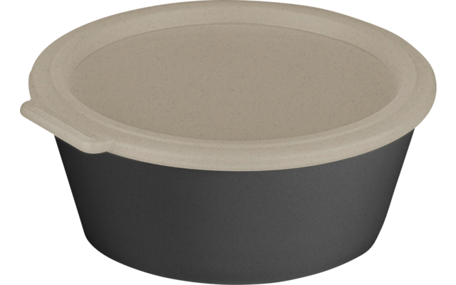 Image du produit Koziol Move Box Schale mit Deckel 1,3 Liter  1