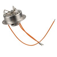 Truma Br&ucirc;leur