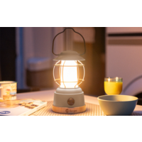 Berger Hopuni Pro grijs