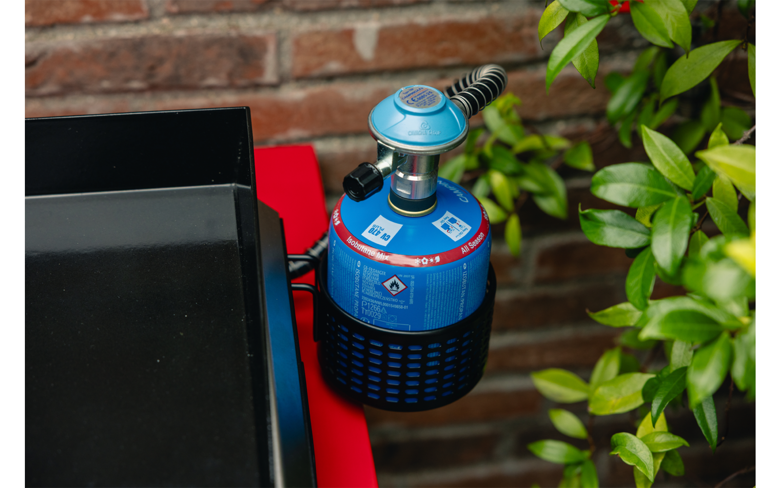 Blaue Gaskartusche mit Regler und schwarzem Schlauch auf roter Fläche, Ziegelwand im Hintergrund, grüne Blätter rechts
