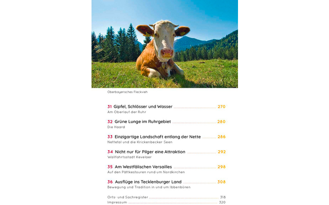 Braun-weiße Kuh liegt auf einer Wiese, im Hintergrund Tannen, bewaldete Hügel und blauer Himmel; unten auf der Seite sichtbare Textspalte mit nummerierten Einträgen