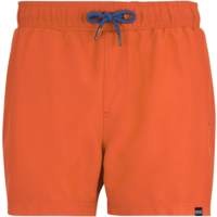 Regatta Mawson III Herren Schwimmshorts
