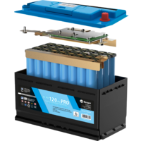 Berger LiFePO4 Lithium Accu Pro 120 Ah 12 V met Bluetooth & verwarming