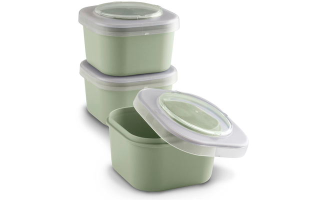 Sunware Sigma home food to go lunch box set of 3 green