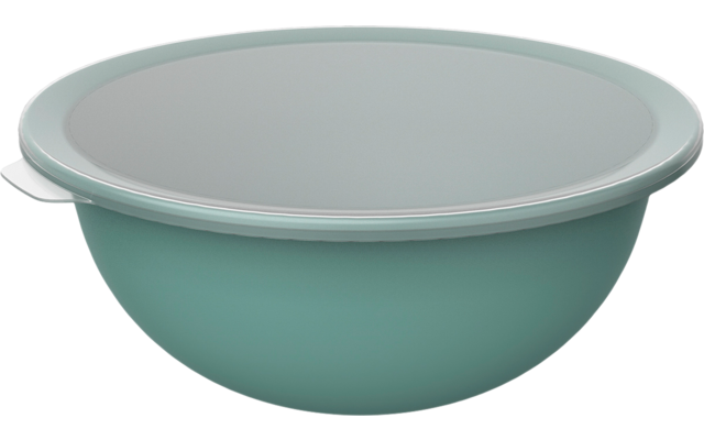 Tazón verde con borde blanco