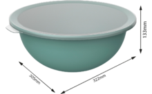 138994 - Rotho Bol 4,8 l con tapa CARUBA