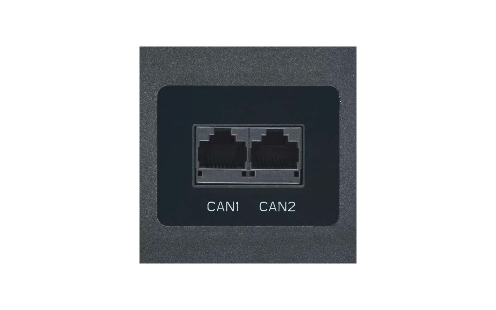 Zwei LAN-Anschlüsse mit den Bezeichnungen CAN1 und CAN2 auf einem dunklen Panel