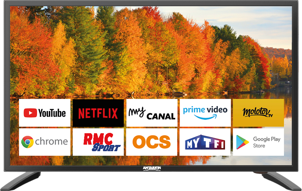PACK ALDEN TV LED 19 48cm Téléviseur Connecté GooglePlay