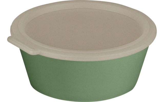 Image du produit Koziol Move Box Schale mit Deckel 1,3 Liter  1