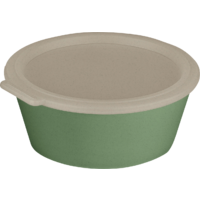 Koziol Move Box Schale mit Deckel 1,3 Liter nature leaf green 