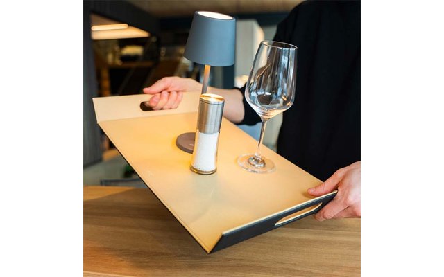 Produktbild Silwy Flip wendbares Metall-Tablett f&uuml;r Magnetgeschirr 54 x 30 cm 1