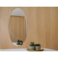 VierTec Miroir de camping pour camping-car & campeur autocollant en verre acrylique ovale 60 x 29,5 cm