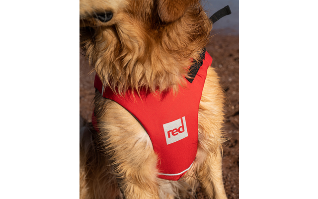 Red Paddle Co Dog PFD Gilet di galleggiamento per cani rosso M