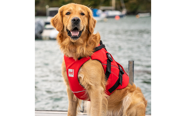  Red Paddle Co Dog PFD Gilet di galleggiamento per cani rosso M