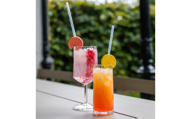 Zwei Gläser mit farbigen Getränken auf einem Tisch; vorn ein hohes Glas mit orange-rotem Getränk, Eis und gelber Zitrusscheibe am Rand, hinten ein Weinglas mit rosa Getränk, Eis und roten Fruchtstücken; beide mit Strohhalmen, unscharfer grüner Hinter
