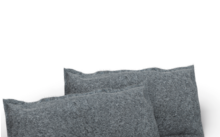 ThoMar Déshumidificateur pour voiture Airdry DUO 2 x 600 g