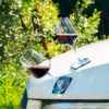 Deux verres de vin rouge sur le capot d'une voiture blanche en plein air