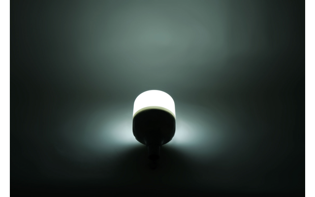 Brunner Globe LED Lamp