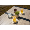 Holztisch im Freien mit zwei Gläsern gelbem Getränk und Eiswürfeln auf gehäkelten Untersetzern, Glas mit Zuckerwürfeln, Glas mit dunkler Marmelade und Löffel, kleiner Topf mit grüner Pflanze, Rasen im Hintergrund