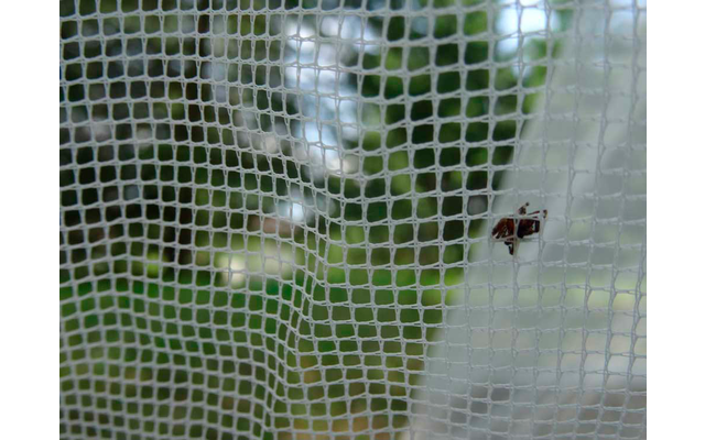 Pharmavoyage mosquito net Totem Double mosquito protection 60 / 125 x 250 cm