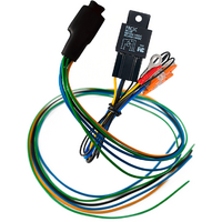 Thitronik Einbausatz Abschaltrelais f&uuml;r Ducato 2024 zu Pro-finder