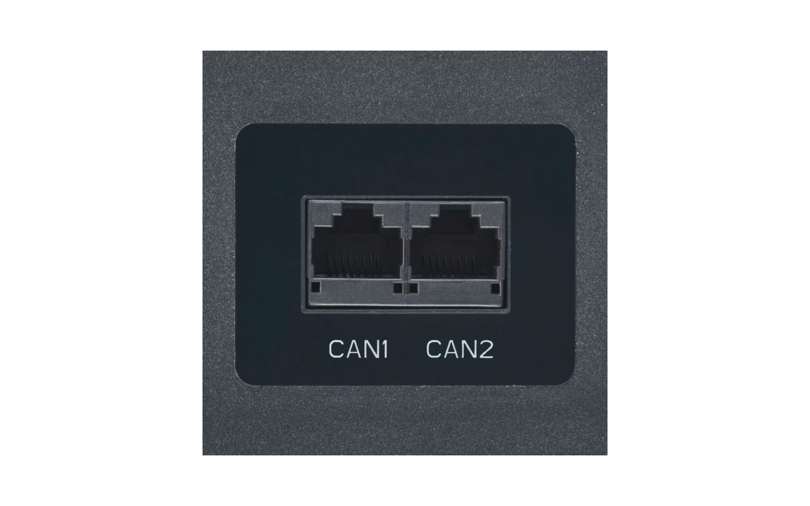 Zwei schwarze Netzwerkanschlüsse nebeneinander, beschriftet mit CAN1 und CAN2