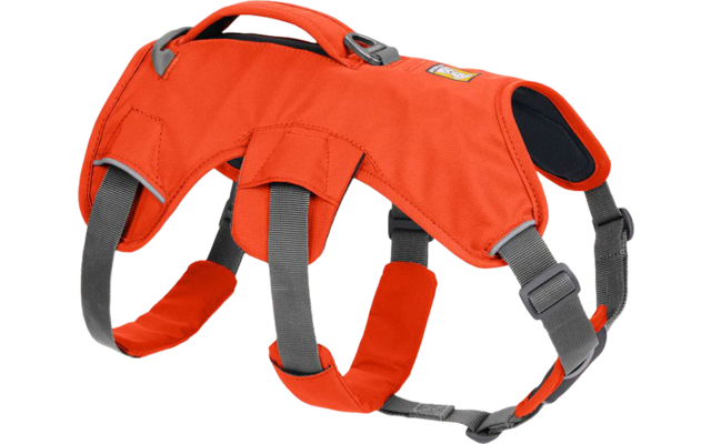 Ruffwear Web Master Hundegeschirr mit Handschlaufe Blaze Orange L/XL