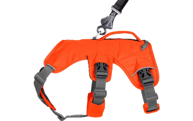 Arnés para perros Ruffwear Web Master con correa para la muñeca Blaze Orange L/XL