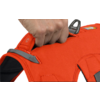 Pettorina per cani Ruffwear Web Master con cinturino da polso Blaze Orange L/XL
