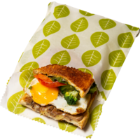 Nuts Innovations Sandwich And Snack Bag Vegan Set Of 2 Green Leaves