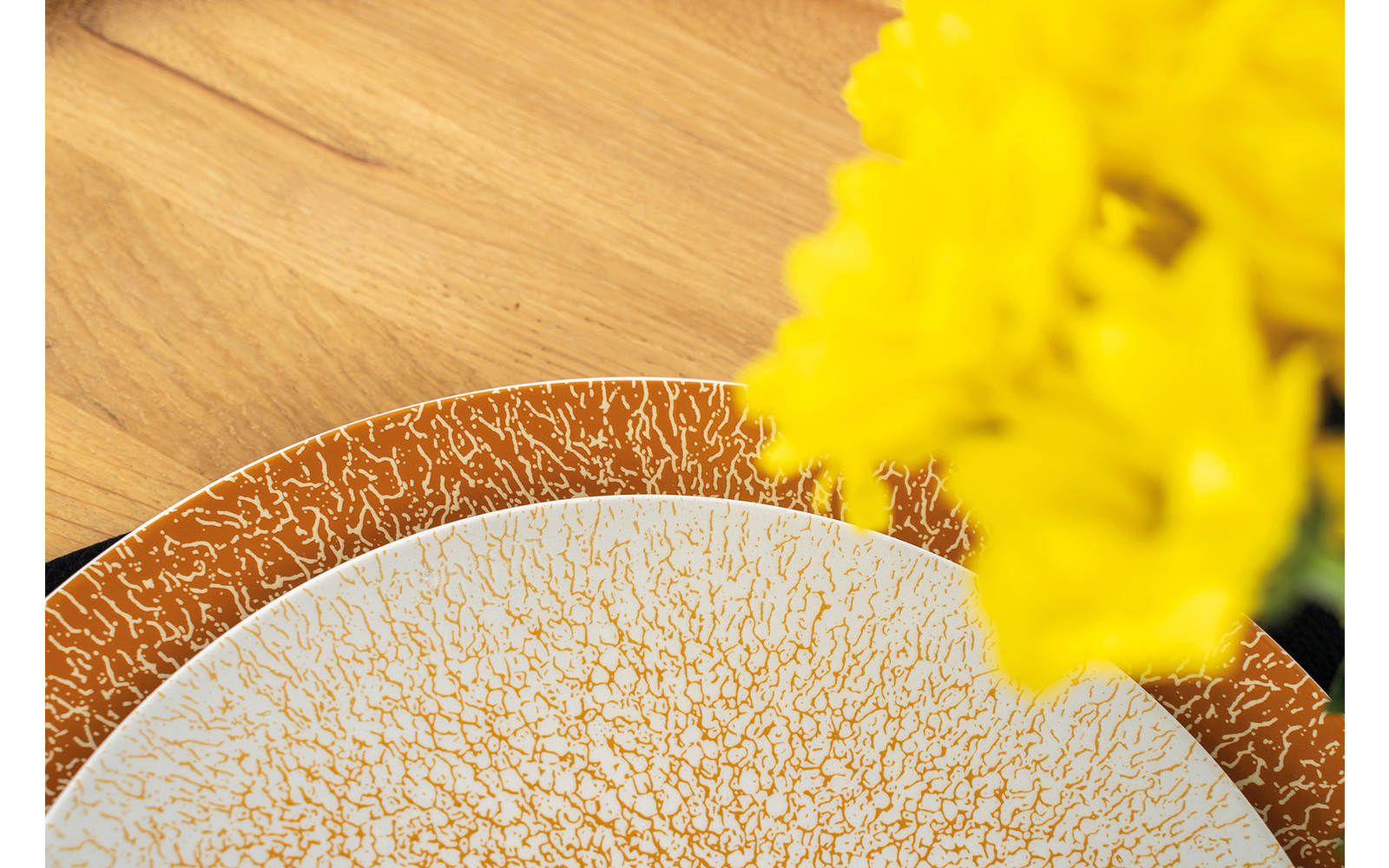 Zwei überlappende Keramikteller mit feinem Rissmuster auf hellem Holztisch, rechts angeschnittene gelbe Blumen