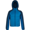 Blau gewatteerd jack met capuchon en lange mouwen