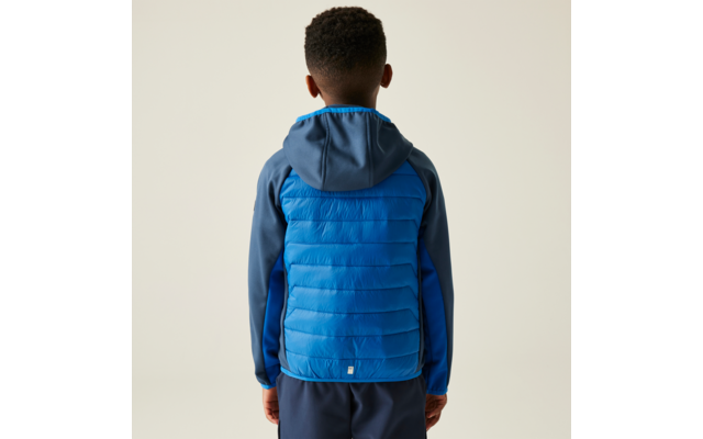 Een jongen met een blauw en donkerblauw hoodie, van achteren gefotografeerd