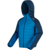 Blauwe en donkerblauwe jas met capuchon voor heren