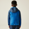 Een jongen met een blauw en donkerblauw hoodie, van achteren gefotografeerd