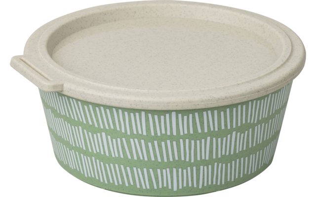 Produktbild Koziol Blomster Box Schale mit Deckel stapelbar / luftdicht / auslaufsicher 1