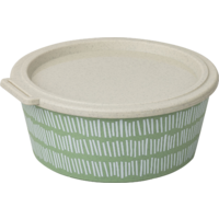 Koziol Blomster Box schaal met deksel 1,3 liter stapelbaar / luchtdicht / lekvrij natuurblad groene lijn