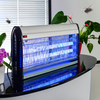 UV-Insektenvernichter mit leuchtenden blauen Röhren auf schwarzem Tisch, Pflanzen im Hintergrund