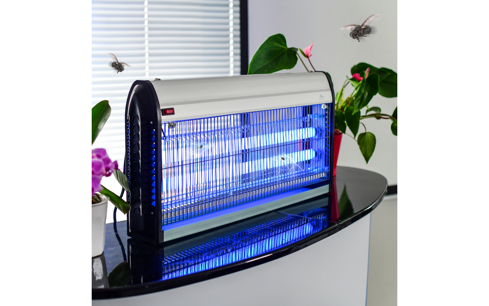 UV-Insektenvernichter mit leuchtenden blauen Röhren auf schwarzem Tisch, Pflanzen im Hintergrund