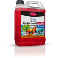 Caramba Easy Clean Ruitenreiniger Extra Zichtbaar Kant-en-klaar Mix