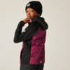 Kleines Produktbild Regatta Kielder IX Kinder Hybridjacke 1