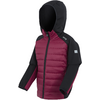 Kleines Produktbild Regatta Kielder IX Kinder Hybridjacke 1
