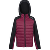 Kleines Produktbild Regatta Kielder IX Kinder Hybridjacke 1