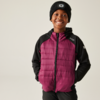 Kleines Produktbild Regatta Kielder IX Kinder Hybridjacke 1