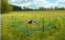 Clôture en filet verte avec poteaux métalliques sur un pré, à l'intérieur deux petits animaux noirs à côté d'une bassine grise ronde