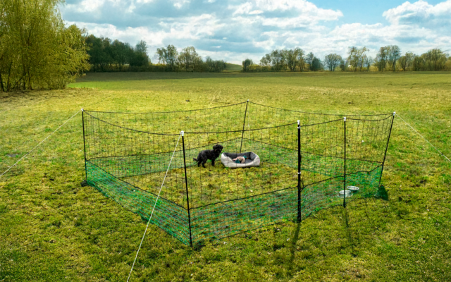 Green mesh fence with metal posts on a meadow, inside two small black animals next to a round gray bowl
