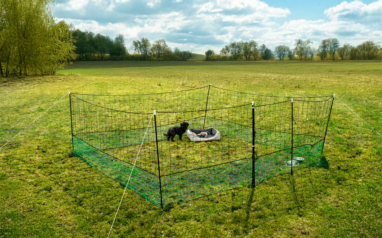 Green mesh fence with metal posts on a meadow, inside two small black animals next to a round gray bowl