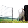 Small gray curly dog standing on grass next to an open green mesh gate; to the right are a person's legs and hand; background shows a meadow and a tree line under a pale sky